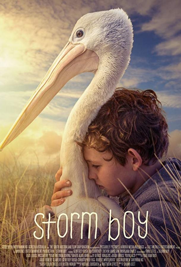 Фильм Штормовой мальчик (2019) смотреть онлайн бесплатно
